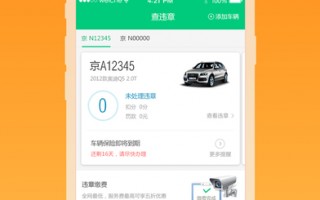 违章查询免费查违章平台，电动车违章查询免费查违章平台